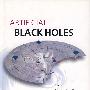 人造黑洞/ARTIFICIAL BLACK HOLES