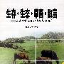 生存·生态·草蓄·致富：云南省岩溶地区发展战略研究