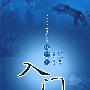 观赏石入门