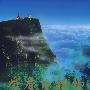 峨眉山植物