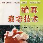 榆耳栽培技术