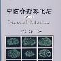 中国介形类化石(第二卷)