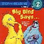 大鸟说…… Big Bird Says...