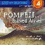 庞贝：被淹没的火山地 Pompeii...Buried Alive!