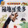 动物真奇妙——陆地可爱多