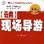 现场导游(云南)