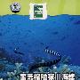 蛮荒探险家Ⅱ海蛇(DVD)