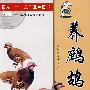 养鹧鸪
