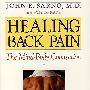 背疼的治疗/Healing Back Pain