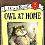 猫头鹰在家/Owl at Home