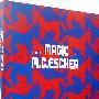 埃舍尔的魔法/The Magic of M.C.Escher