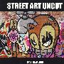 纯粹的街头艺术Street Art Uncut