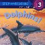 海豚Dolphins