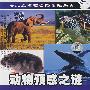 科教观察：动物预感之谜（DVD）