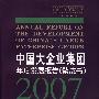 &中国大企业集团年度发展报告.紫皮书(2007)