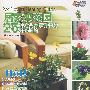 居家变花园—25种适合在家种植的开花植物－悠生活·快乐手工坊