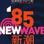 85新潮:中国第一次 当代艺术运动(精编画册)
