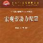 宏观劳动力配置