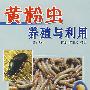 黄粉虫养殖与利(修订版)