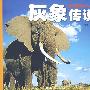 动物王国探险系列丛书――灰象传说