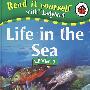 (大海中的生物)Life in the Sea