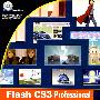 Flash CS3 Professional 动画制作技能进化手册(1CD)