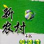 新农村中的经济学