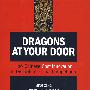 龙行天下（改变全球竞争格局的中国成本创新）DRAGONS AT YOUR DOOR