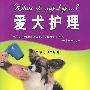 爱犬护理