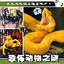 科教观察：恐怖动物之谜（DVD）