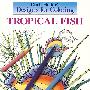 热带鱼/Tropical Fish