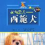 家有爱犬——西施犬