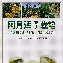 阿月浑子栽培