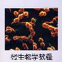 微生物学教程(第2版)