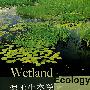 湿地生态学