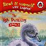The Ugly Duckling丑小鸭