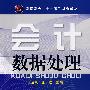 会计数据处理(王全录)