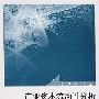 产业资本流动性分析