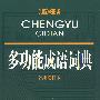 多功能成语词典(精)