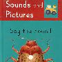 Sounds and Pictures:Say the I Sounds声与画：看字母表发音 I
