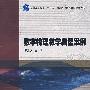 数字物理教学典型案例