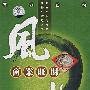 商业旺财（DVD+CD）