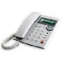 TCL HCD868（97）来电显示电话机白色
