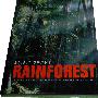 Spirit of the Rainforest 雨林精神