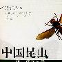 中国昆虫模式标本名录(第一卷)