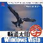 畅通无阻学windows Vista（附光盘）