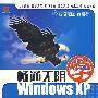 畅通无阻学：Windows XP（附光盘）