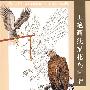 工笔画线描花鸟画谱:鹰隼篇