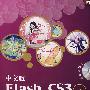 中文版Flash CS3多媒体教学风暴