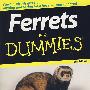 雪貂指南Ferrets For Dummies, 2nd Edition